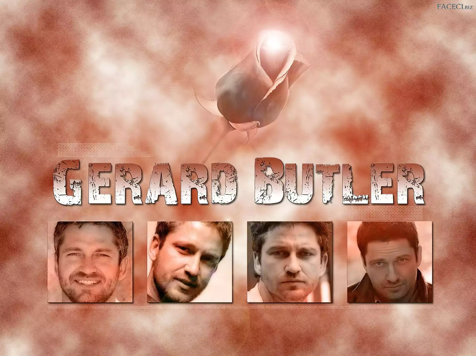 kwiat, Gerard Butler, twarze