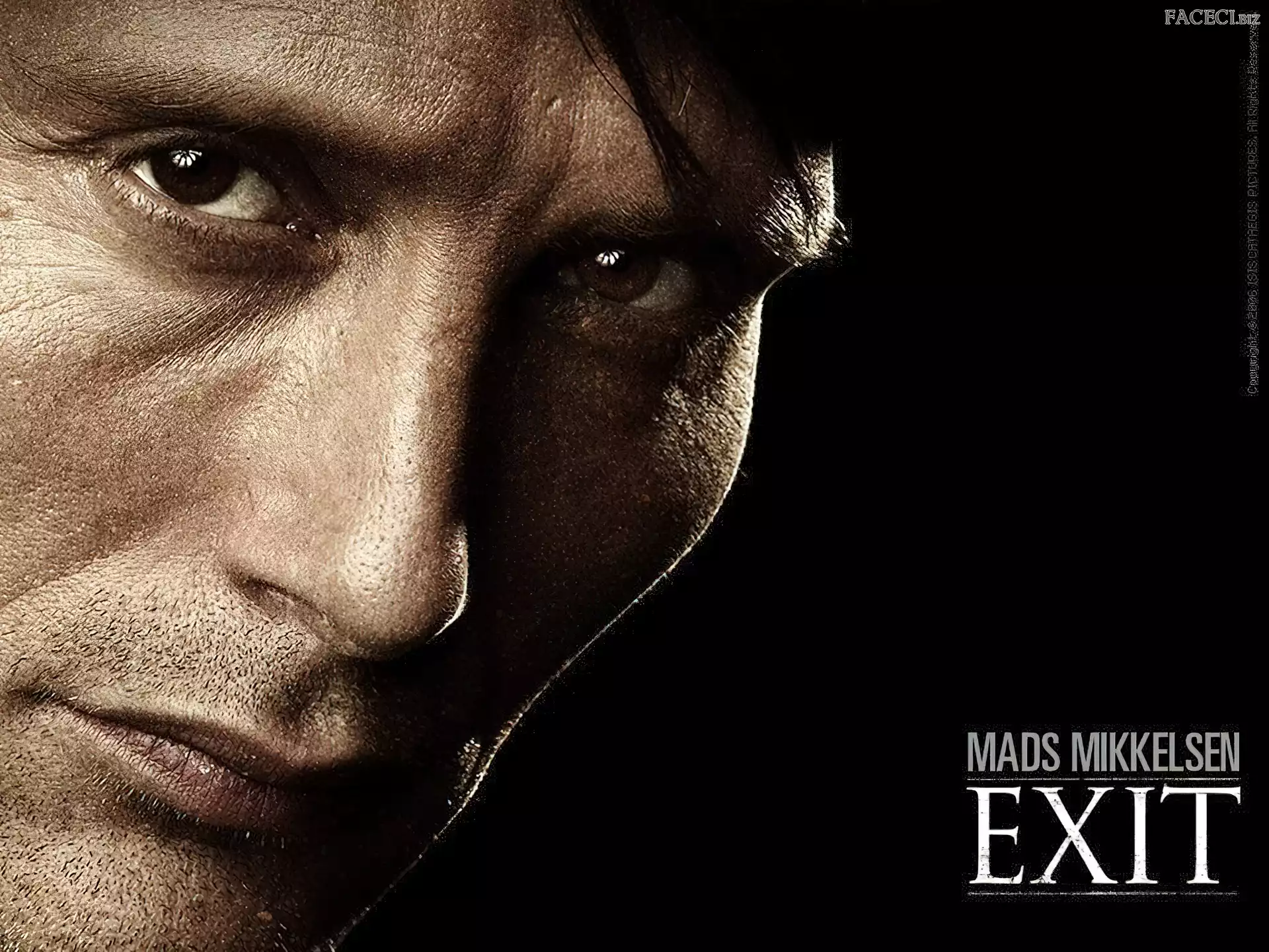 Mads Mikkelsen, Exit